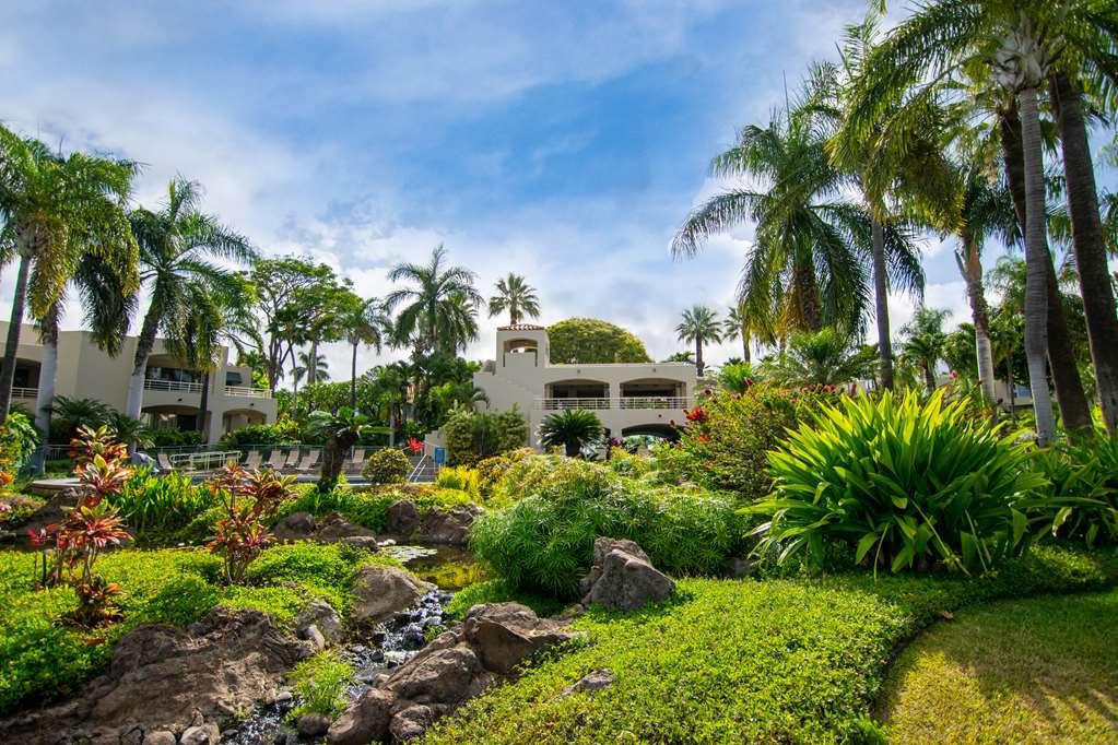 Palms At Wailea Apartment Exterior photo